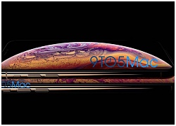 Đây là iPhone XS màu vàng sắp được Apple ra mắt