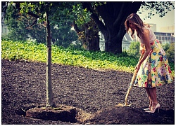 Đệ nhất phu nhân Mỹ Melania Trump hứng cả "rổ gạch đá" vì đi giày cao gót, diện váy hàng hiệu để làm vườn