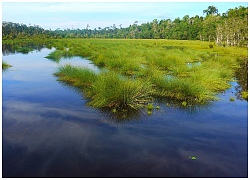 Khách du lịch châu Á ùn ùn kéo đến Brunei để chiêm ngưỡng những địa danh này