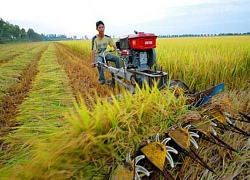 Không dễ hỗ trợ tích tụ đất đai