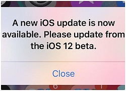 Người dùng iOS 12 beta cứ bị bắt nâng cấp dù đã ở bản beta mới nhất