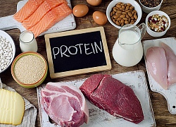 Vì sao không nên ăn quá nhiều protein?