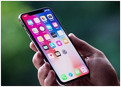 Apple sẽ "nói không" với màn hình OLED trên tất cả các mẫu iPhone trong tương lai