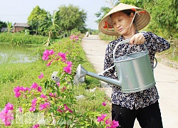 Con đường hoa giấy ở làng này ai cũng khen bởi "không đụng hàng"