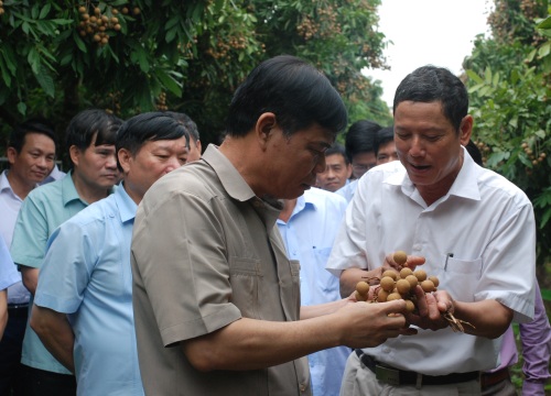 Hưng Yên: Từ Chủ tịch tỉnh trở xuống phải đi... bán nhãn