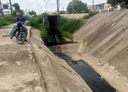 Quảng Nam: Nhà máy nhuộm vải, tiện thể nhuộm luôn ruộng lúa của dân