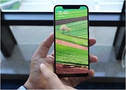 Rò rỉ hình ảnh hình ảnh và hộp của Xiaomi Pocophone F1