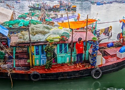 Tạm giữ tàu khai thác hải sản trái phép trên vùng biển Quảng Ninh