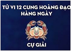 Thứ tư của bạn 8/8