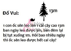 48 câu đố vui hay hài hước hại não nhất kèm đáp án thú vị bạn nên tham khảo