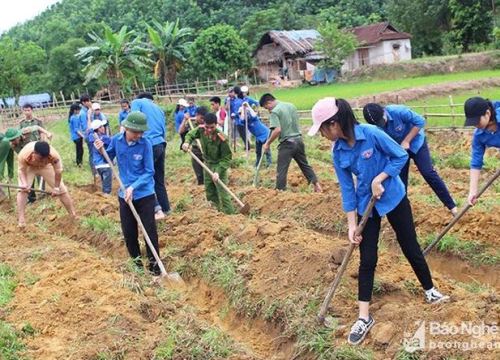 BẢN TIN TÌNH NGUYỆN: Hàng trăm thanh niên lao động giúp bản nghèo