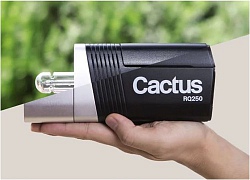 Cactus RQ250 - đèn studio nhỏ gọn với khả năng thay đầu tỏa sáng