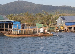 "Làng miền Tây" khấm khá nhờ nuôi cá lồng bè ở Tây Nguyên