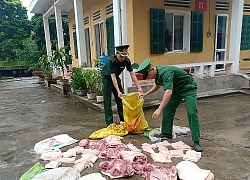 Ngăn chặn kịp thời hành vi vận chuyển lậu cá cảnh lạ và thịt lợn