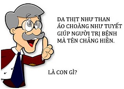 Những câu đố vui nhân gian