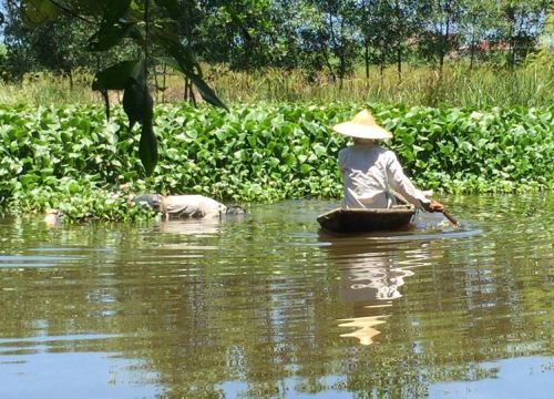 Rửa vỏ lãi, phát hiện xác chết trôi trên sông