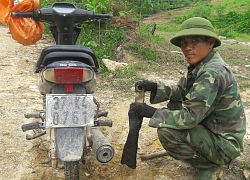 Săn loài ong 'đốt thần ngã ngửa', nghề trêu ngươi 'thần chết'