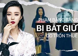 Toàn cảnh scandal trốn thuế của Phạm Băng Băng: 2 lần bị bắt, bị cấm vận 3 năm, đám cưới hoãn vô thời hạn,...