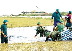 Các tỉnh ĐBSCL tích cực phòng chống lũ