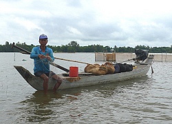 Lũ đầu nguồn sông Cửu Long đang lên nhanh