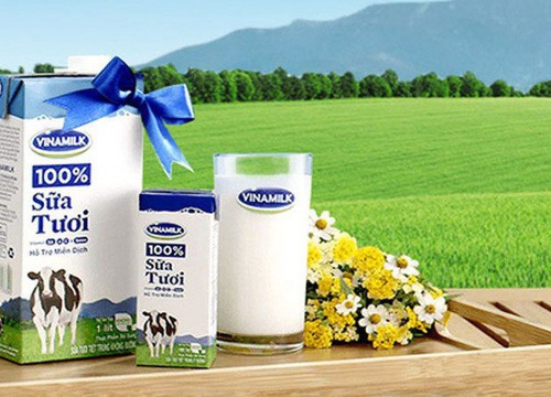 Không chỉ chia 20% cổ phiếu thưởng, Vinamilk còn tạm ứng 20% cổ tức bằng tiền