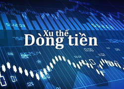 Xu thế dòng tiền: Hướng tới mốc 1.000 điểm