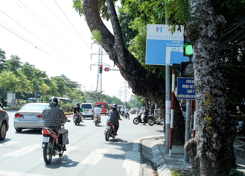 Ảnh: Hàng loạt cây dọa đổ gãy trên phố Hà Nội