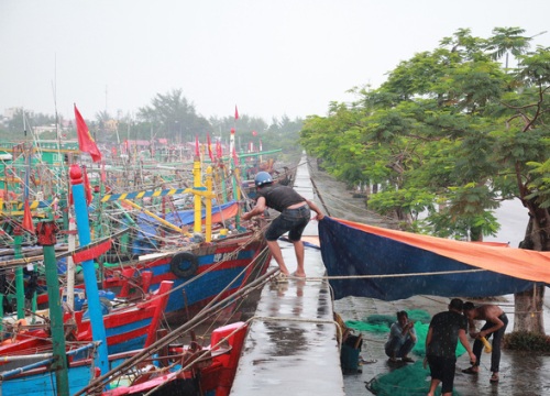 Hải Phòng: Người dân còn chủ quan trong việc phòng, chống bão số 4