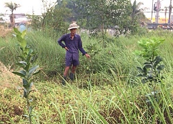 Hết "đùn đẩy", chính quyền huyện đá "quả bóng trách nhiệm" cho thành phố