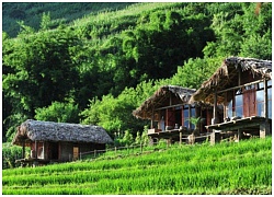 Khám phá 4 homestay đẹp quên lối về tại Sa Pa