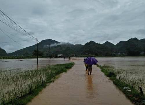 Sơn La: Mưa lớn gây lũ quét cuốn trôi hoa màu, tài sản của dân