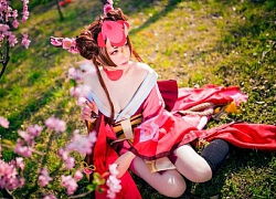 Trọn bộ ảnh cosplay mỹ nữ bên hoa anh đào hút hồn người xem