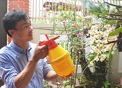 Trồng lan-thú chơi &#8220;gây nghiện&#8221; từ giới bình dân đến người giàu có