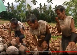 Xót xa cảnh ông lão bị mù vẫn lột từng quả dừa khô bằng chiếc dao sắt nhọn hoắt hàng ngày