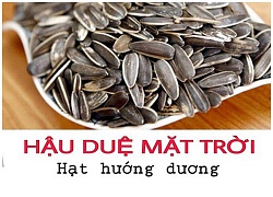 Cẩm nang gọi món cho "sang mồm": từ hôm nay, hãy gọi "hạt hướng dương" là "hậu duệ mặt trời"