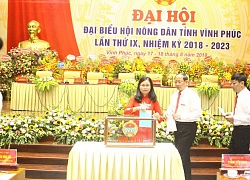 Đại hội Hội ND tỉnh Vĩnh Phúc: Hỗ trợ ND liên kết làm giàu