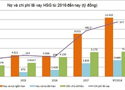 Dấu hỏi về khoản nợ vay 15.880 tỷ của Hoa Sen