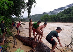 Liều mình lao ra dòng lũ vớt củi, đánh cá