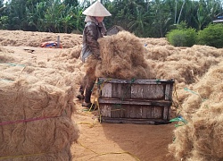 Những thứ Việt Nam vứt đi hóa ra lại có thể mang về tiền tỷ