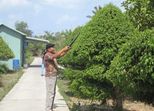 Phước Long trên đường đạt chuẩn thị trấn văn minh đô thị