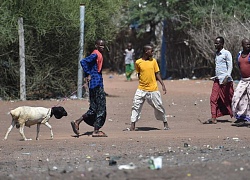 UNHCR hỗ trợ hơn 81.000 người Somalia tự nguyện hồi hương từ Kenya