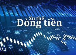 Xu thế dòng tiền: Rung lắc bình thường