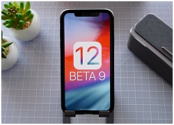 Apple bất ngờ phát hành iOS 12 beta 9: Tập trung sửa lỗi và ngày càng hoàn thiện hơn