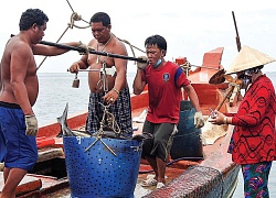 Bỏ nghề biển nuôi loài cá cực thơm ngon, dân đảo Hòn Chuối đổi đời