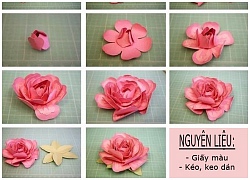 Hoa hồng giấy handmade món quà ý nghĩa tặng gấu