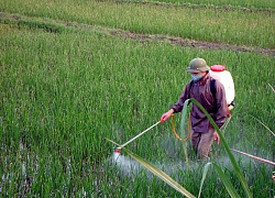 Tiết lộ 'thủ phạm' khiến ngày càng có nhiều trẻ em tự kỷ