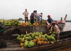 An Giang: Mưu sinh vùng sông nước sống kiếp thương hồ