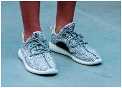 Cơn sốt giày thể thao Adidas mang tên Kanye West