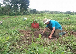 Đắk Lắk: Tòa án chuyển hồ sơ vụ giáo viên kiện nhà trường sang Công an để điều tra