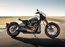 Harley-Davidson FXDR 114 2019 ra mắt, nhanh nhất trong dòng Softail